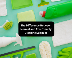 The Difference Between Normal and Eco-friendly Cleaning Supplies
